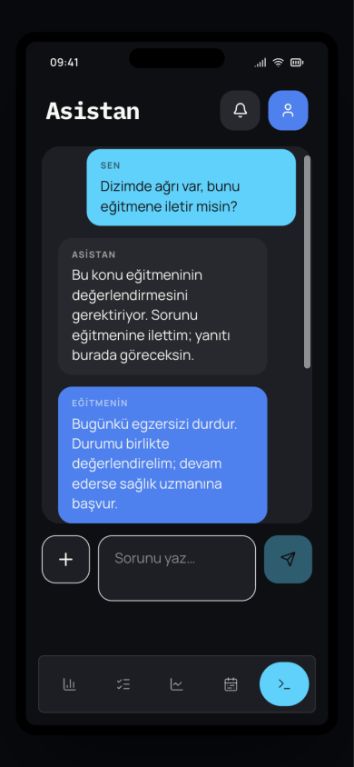 Asistan ekranı
